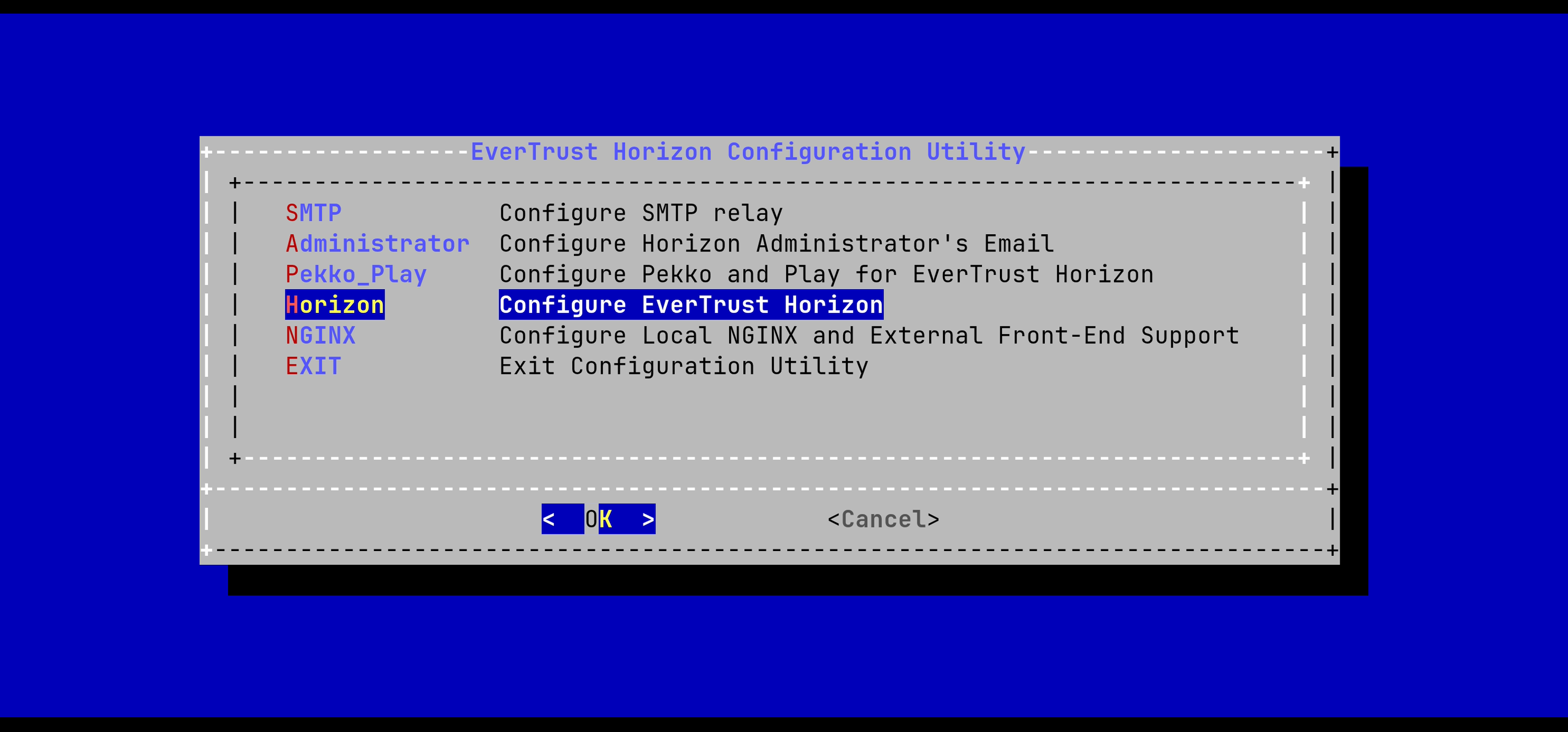 Horizon Config Menu License