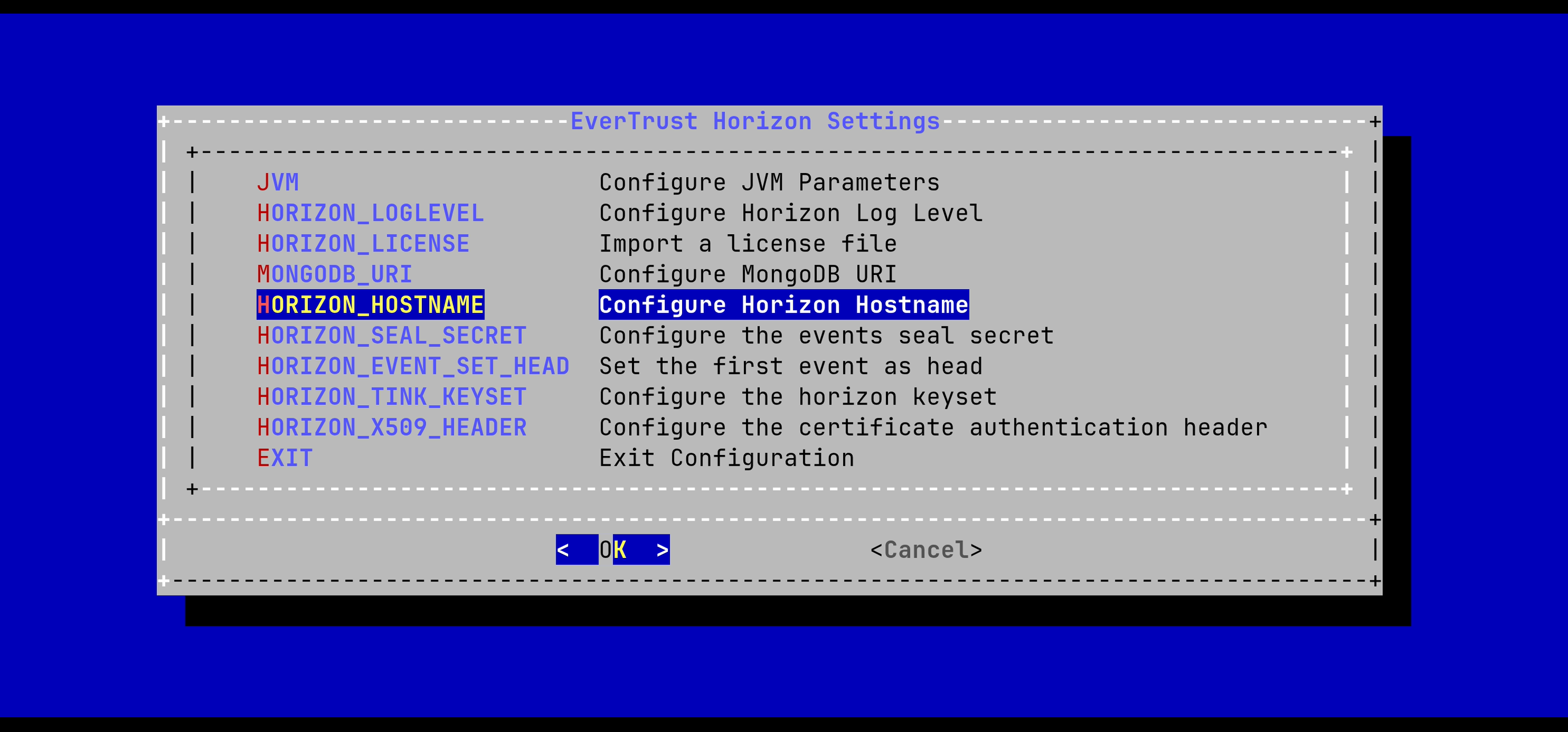 Horizon Hostname Configuration 1