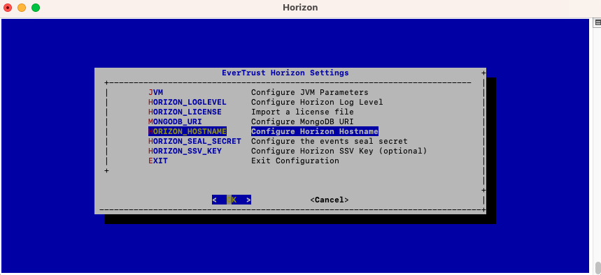 Horizon Hostname Configuration 1
