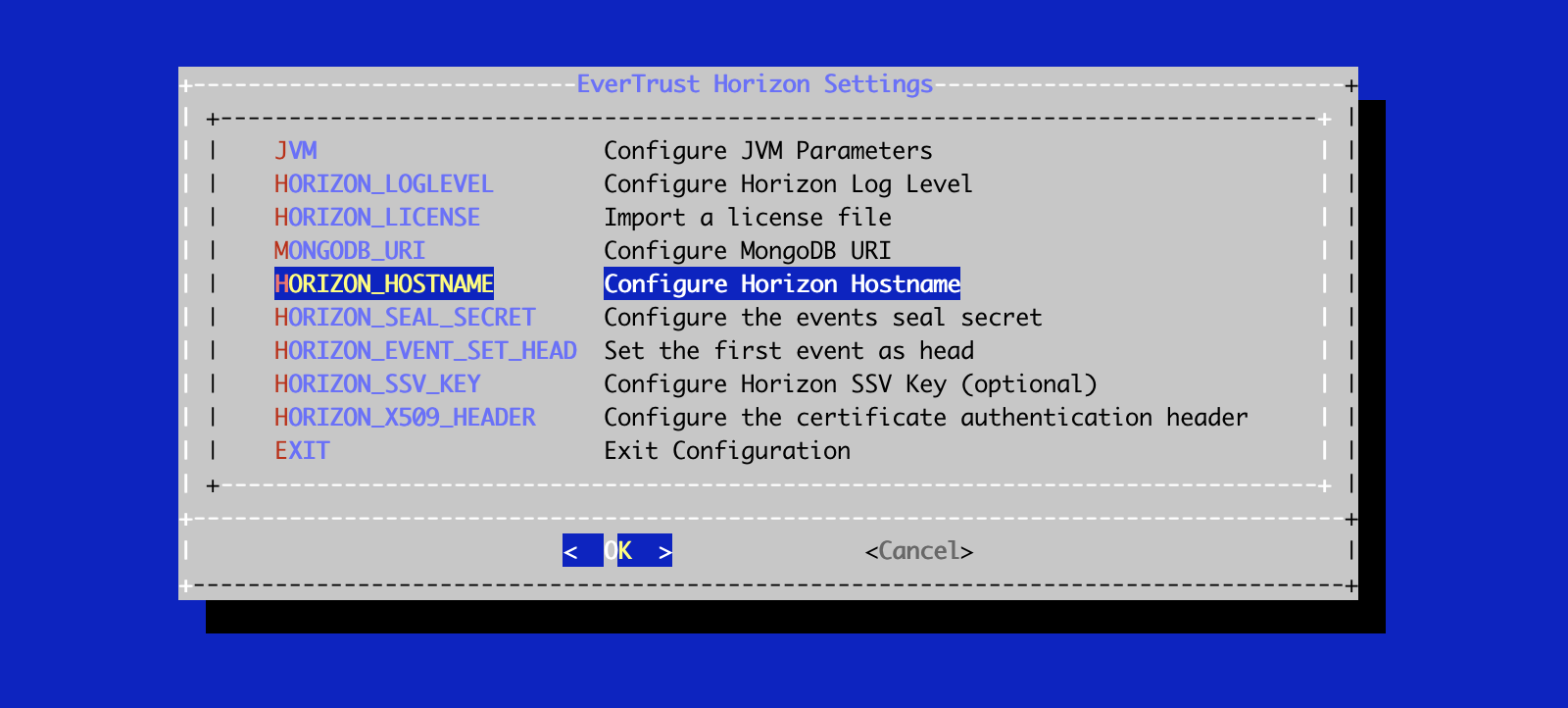Horizon Hostname Configuration 1