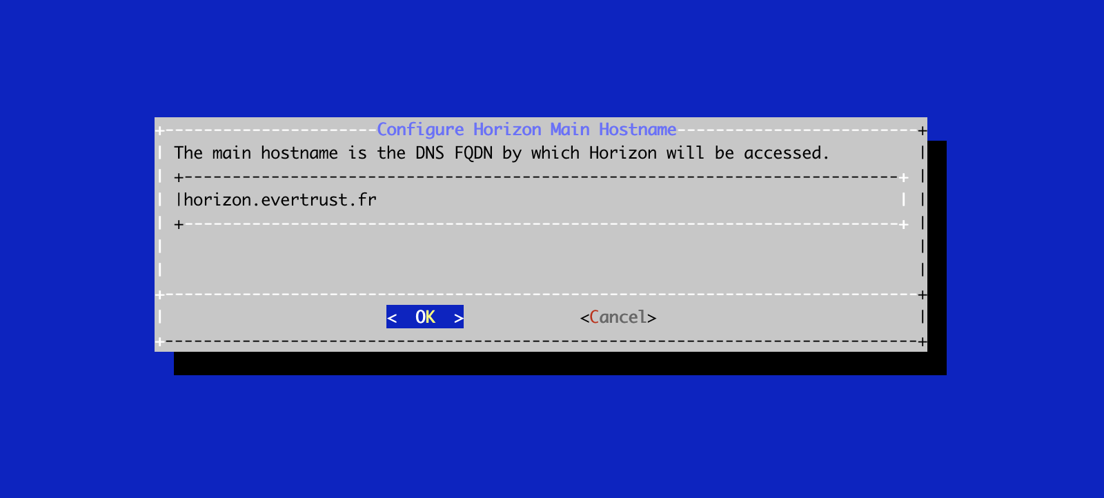 Horizon Hostname Configuration 2