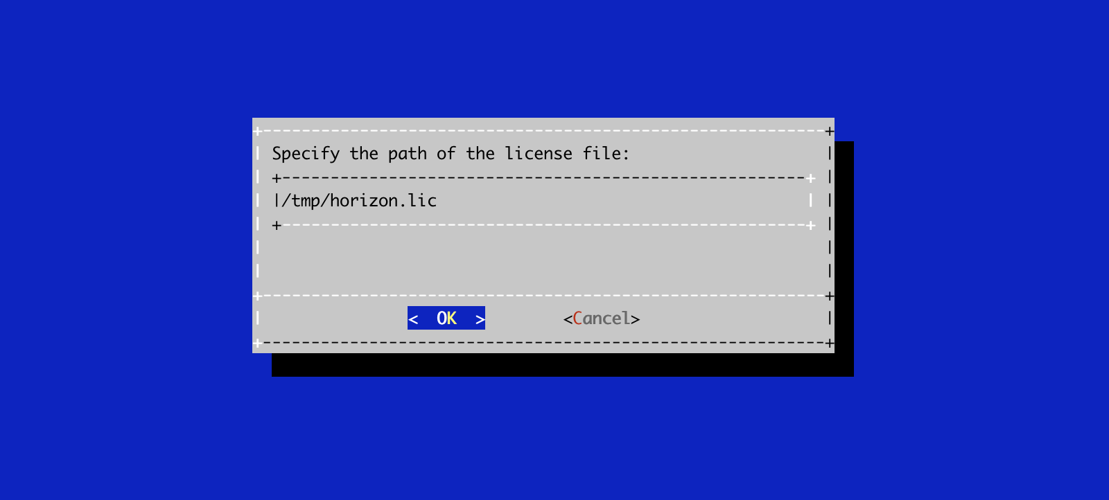 Horizon License Configuration 2