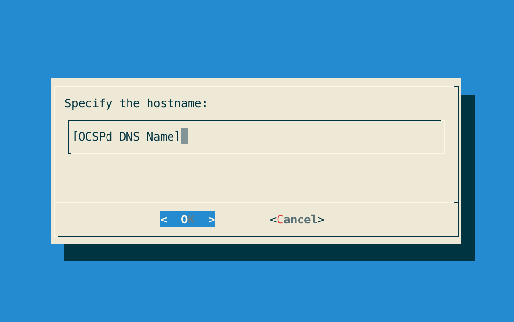 Specify Hostname