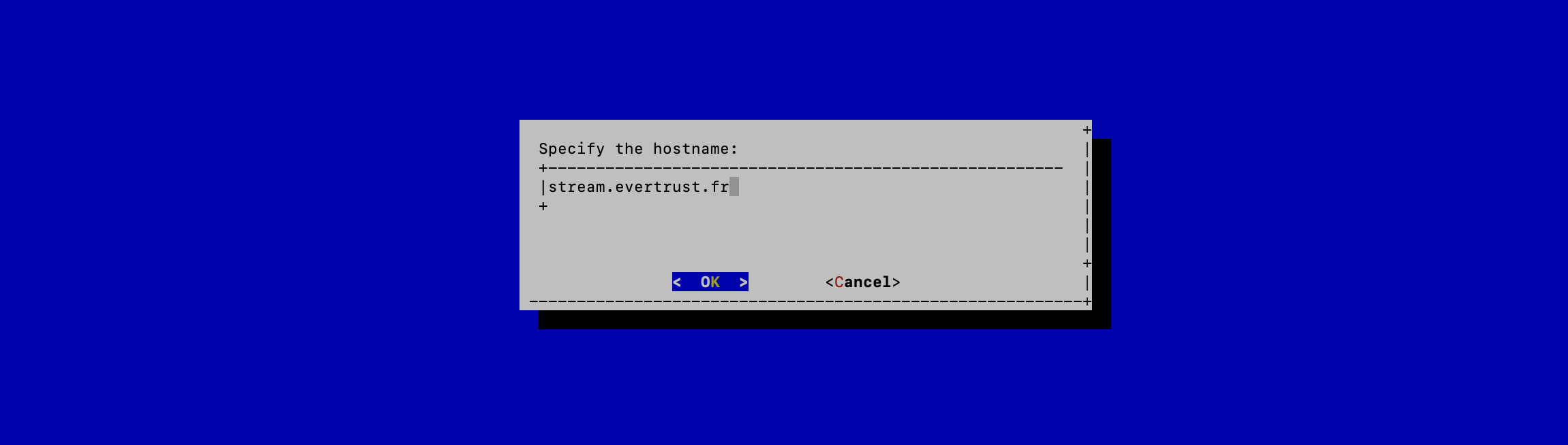 Specify Hostname
