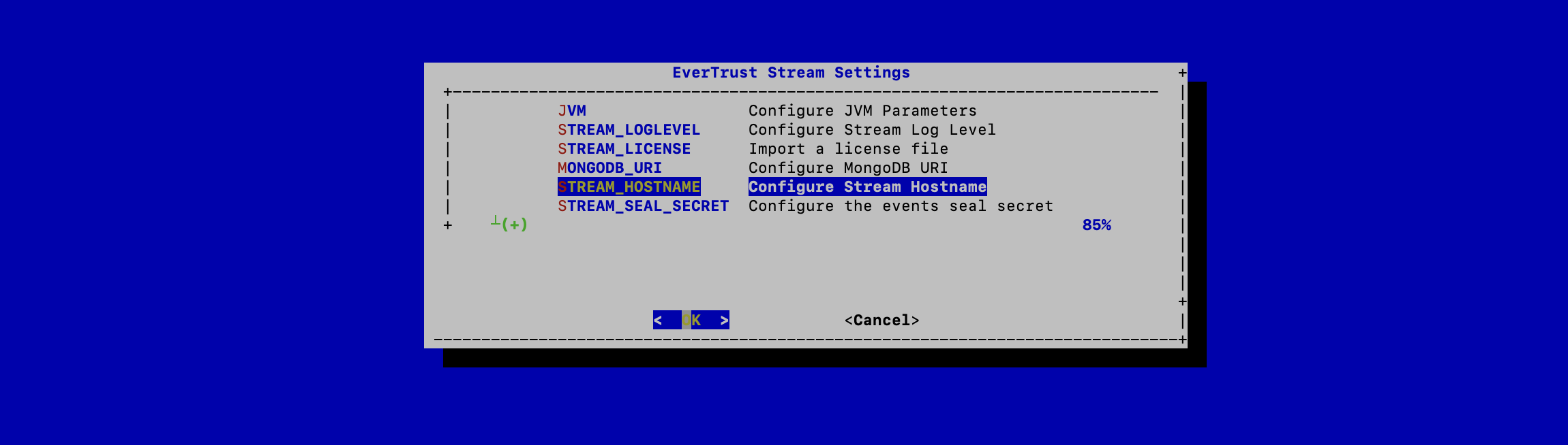 Stream Hostname Configuration 1