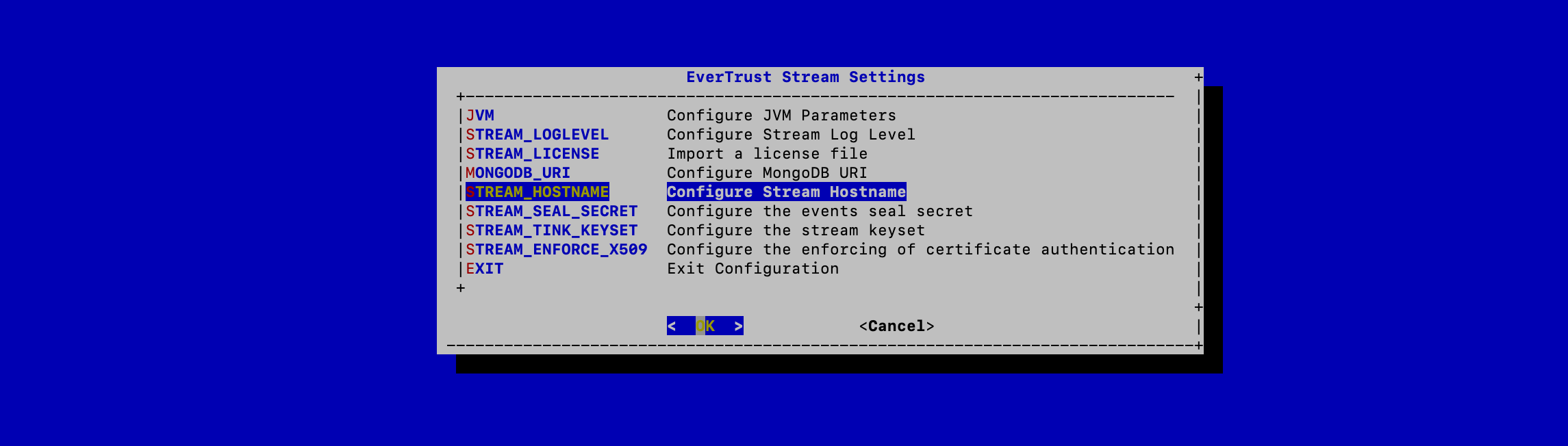 Stream Hostname Configuration 1