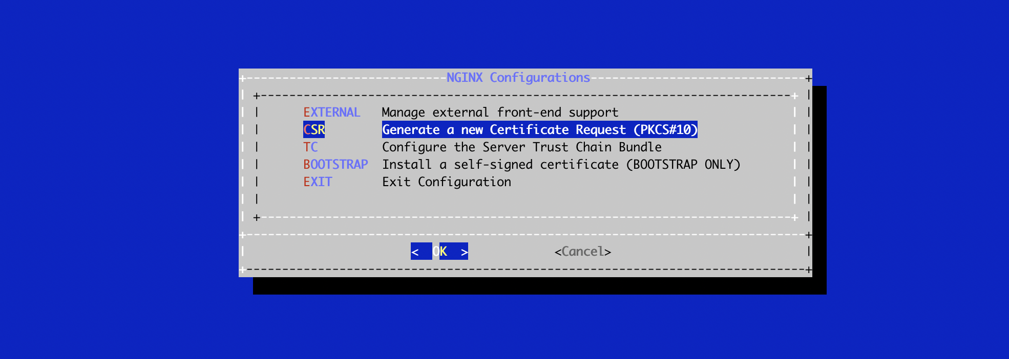 NGINX CSR Menu