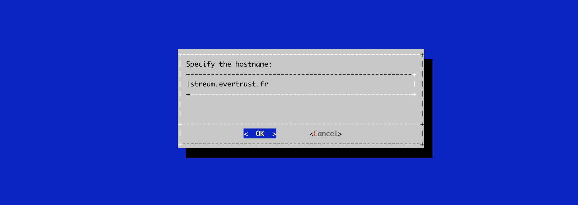 Specify Hostname