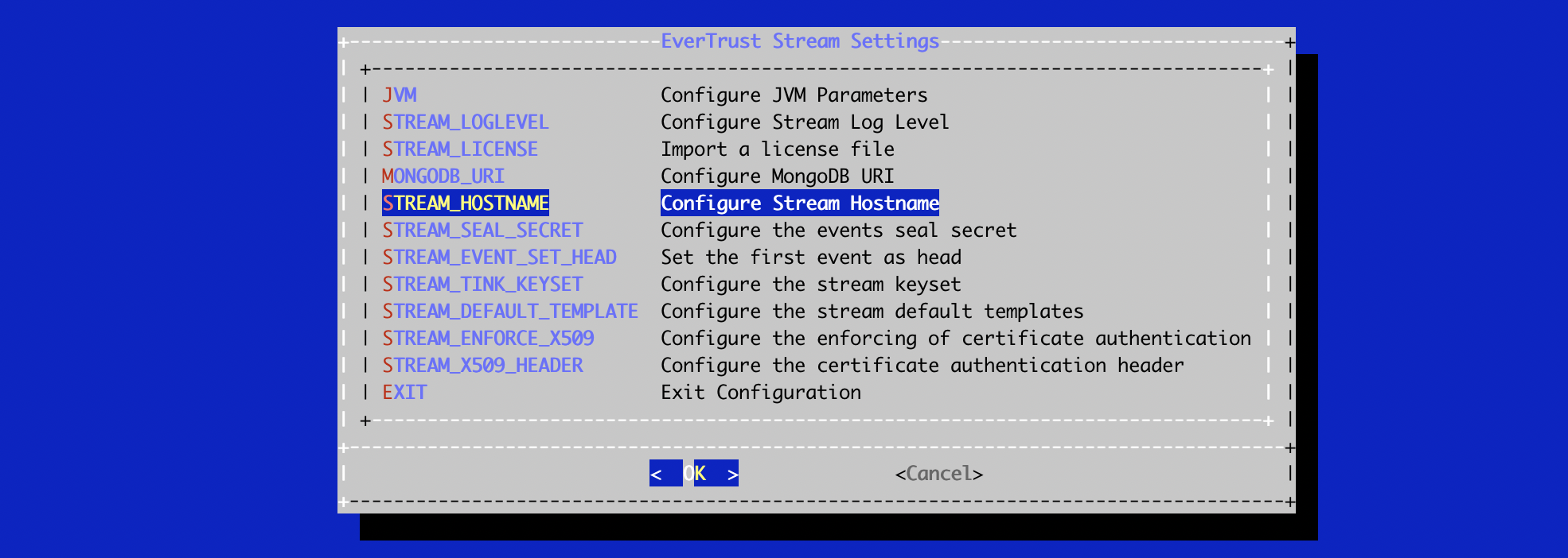 Stream Hostname Configuration 1